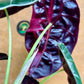 Alocasia watsonia pink variegata NEW